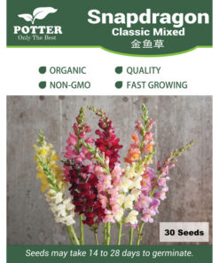Snapdragon seeds