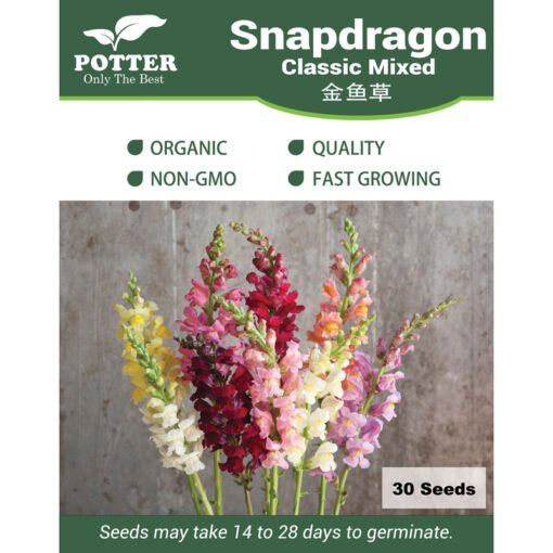 Snapdragon seeds