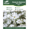Snow in Summer flower seeds