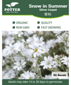 Snow in Summer flower seeds