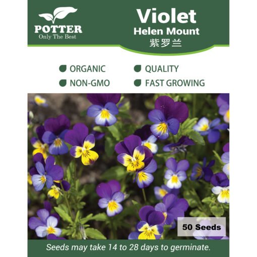 Violet Helen Mount flower seeds