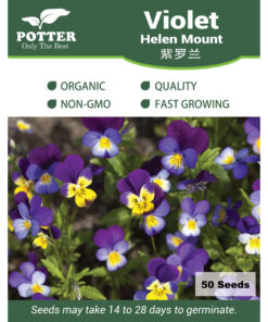 Violet Helen Mount flower seeds