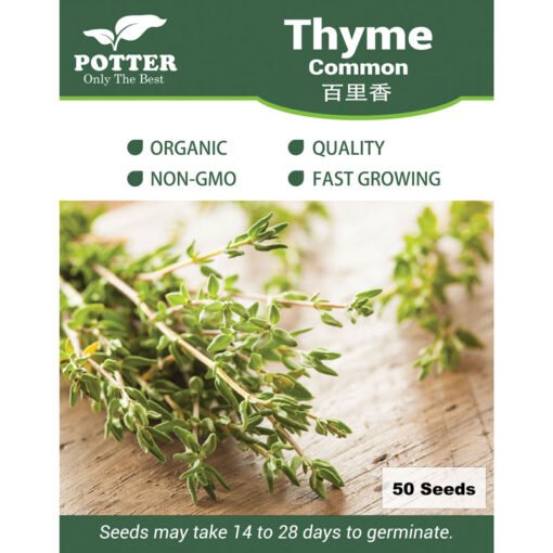 Common Thyme herb seeds