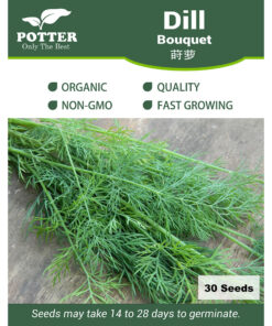 Dill bouquet seeds