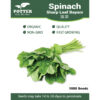 Spinach-Sharp-Leaf-Bayam