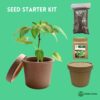 Basil Seed Starter Kit